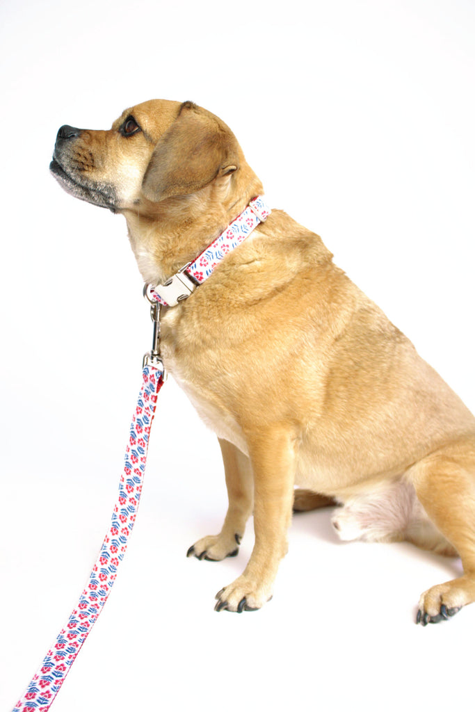 Red White and Blue Flowers Leash - final sale