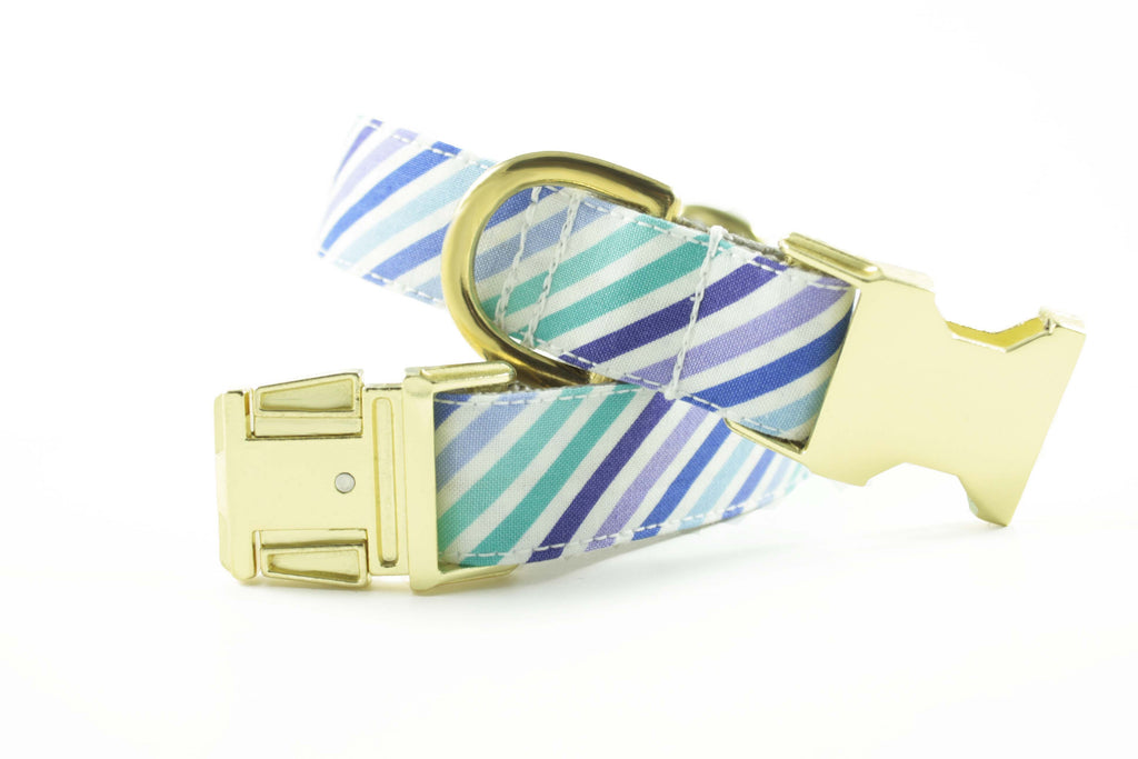 Purple and Blue Stripe Collar