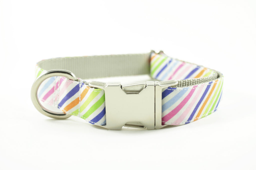Rainbow Stripe Collar