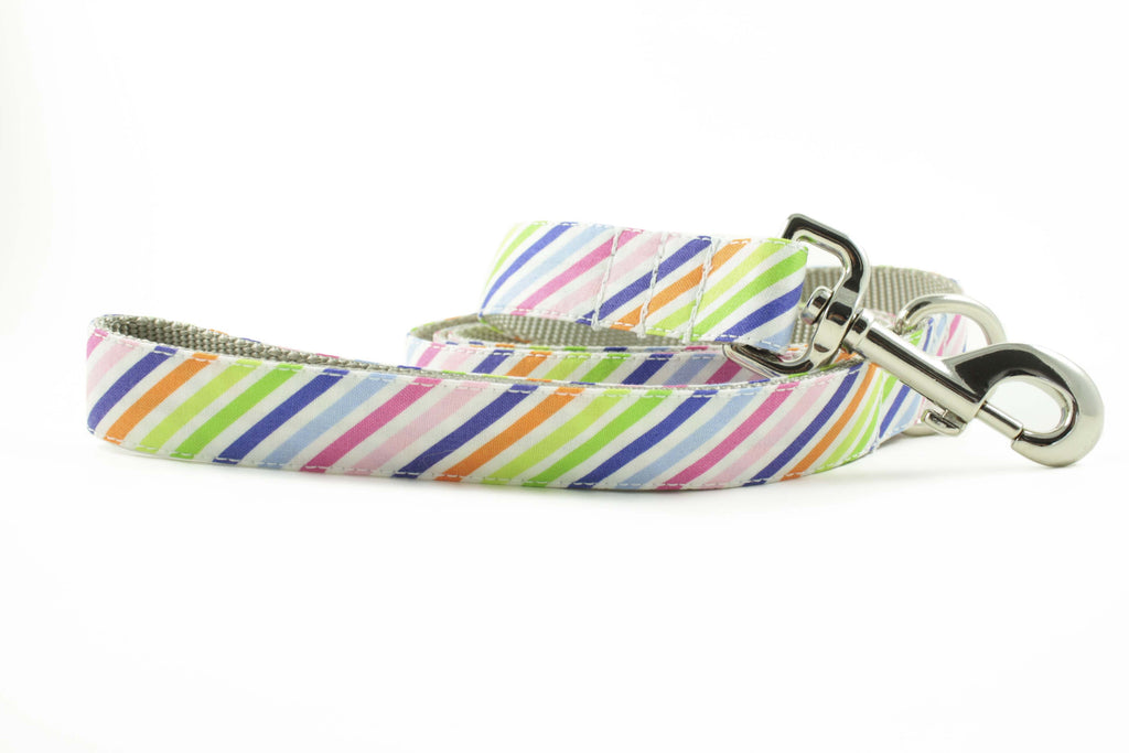 Rainbow Stripe Leash