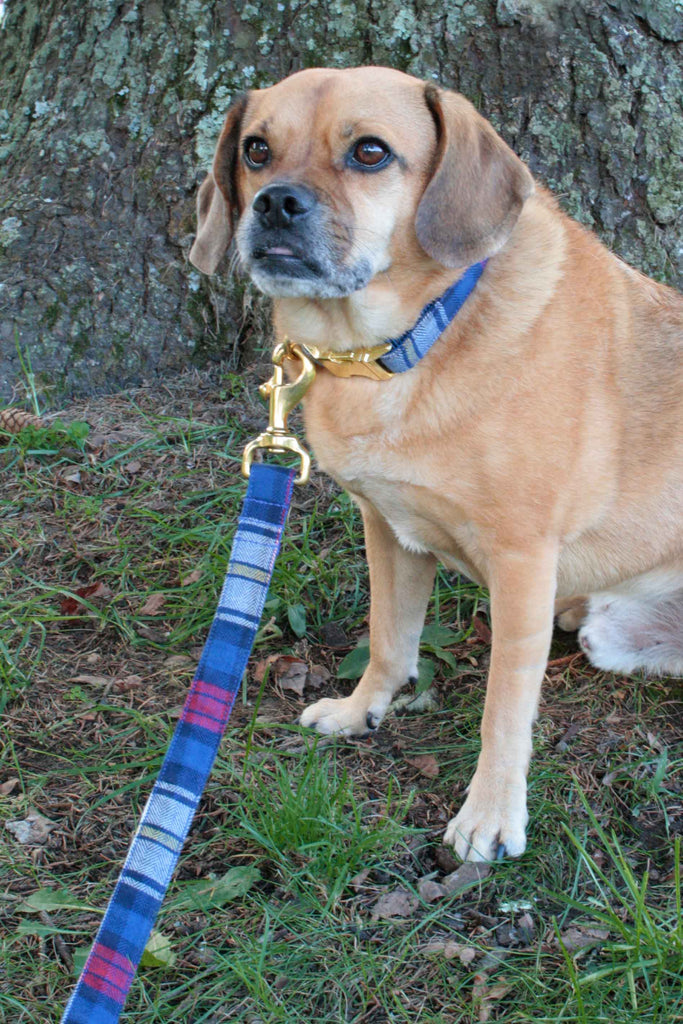 Royal Blue and Red Plaid Leash