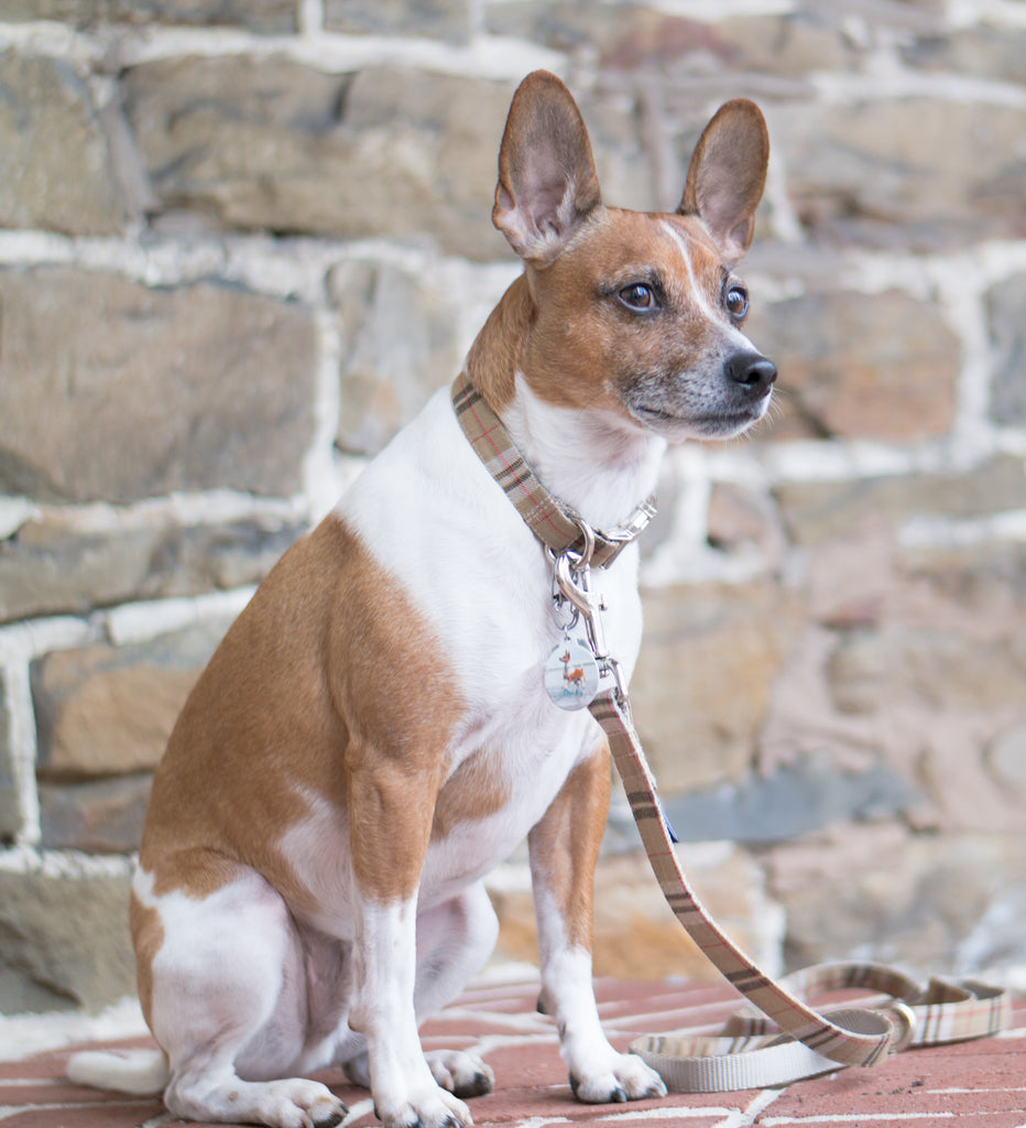 British Plaid Collar