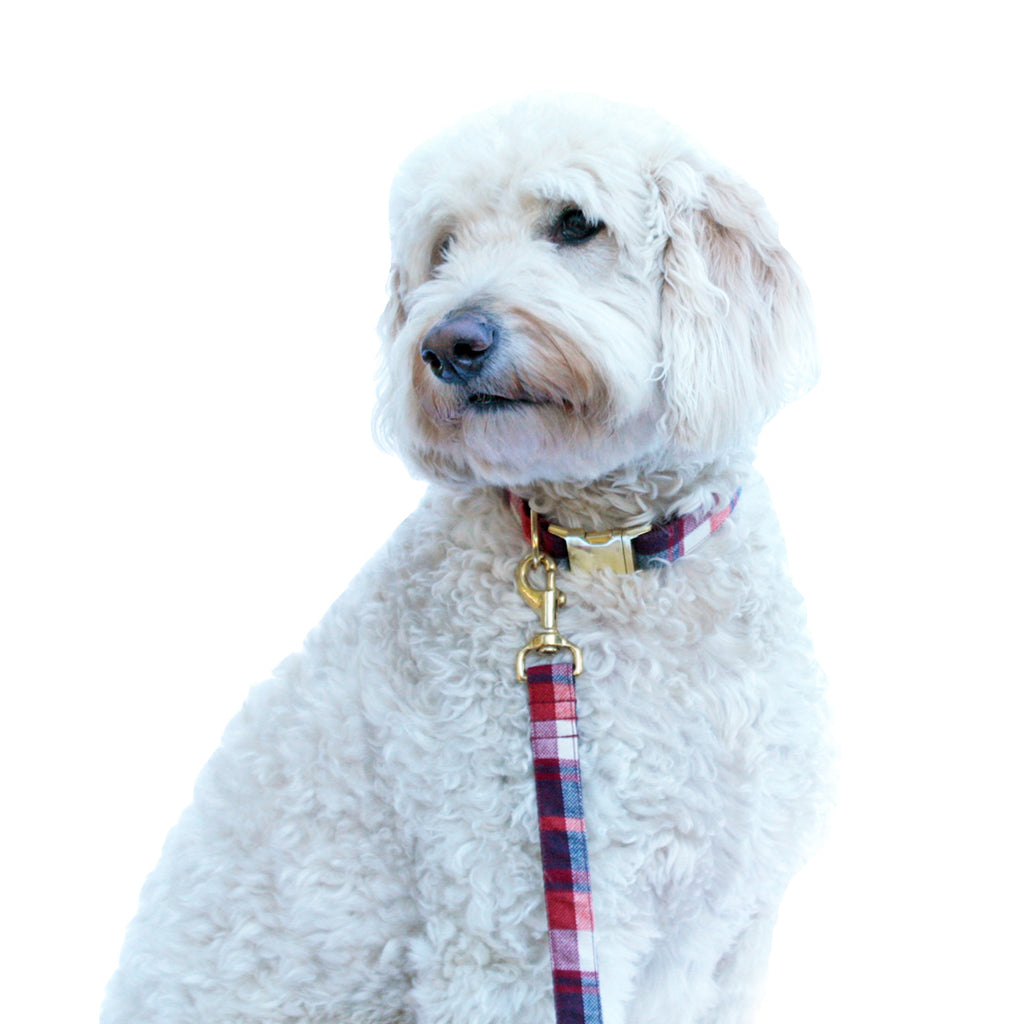 Cherry Red Plaid Leash