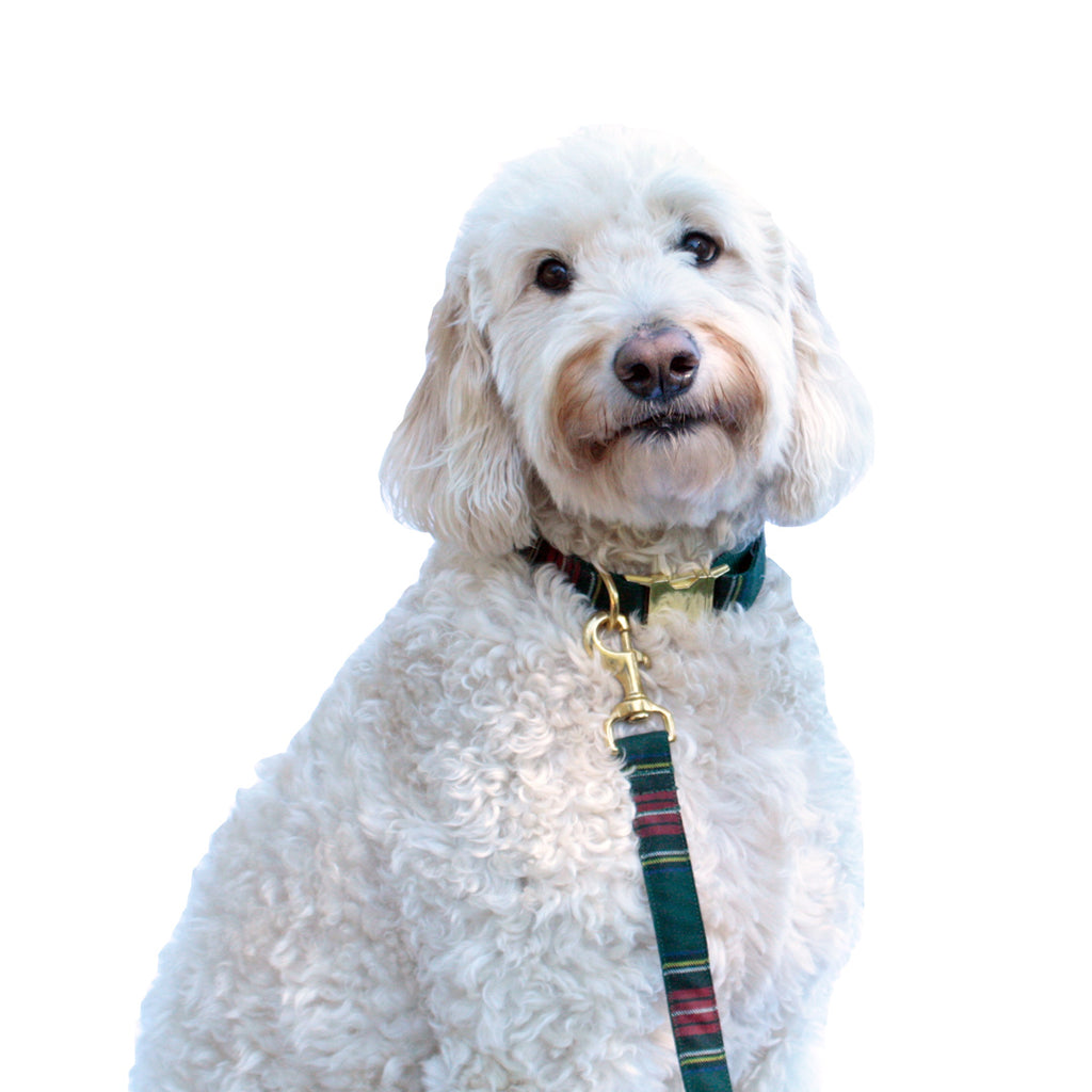 Green Tartan Plaid Collar