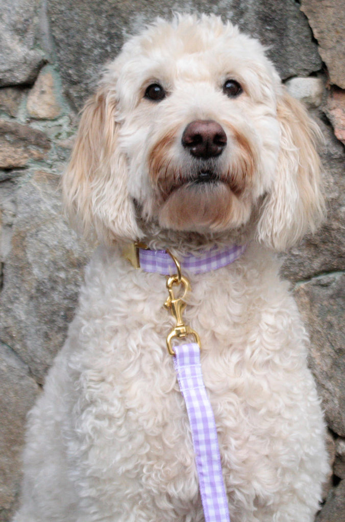 Lavender Gingham Leash - final sale