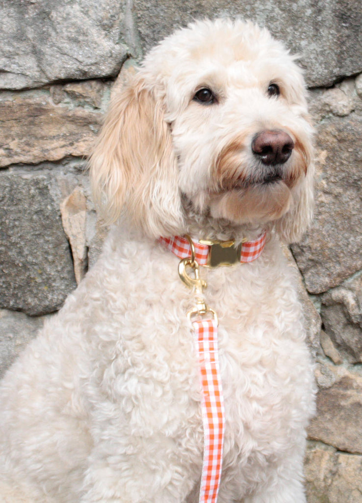 Orange Gingham Leash - final sale