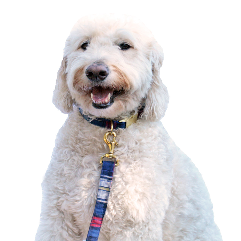 Royal Blue and Red Plaid Leash