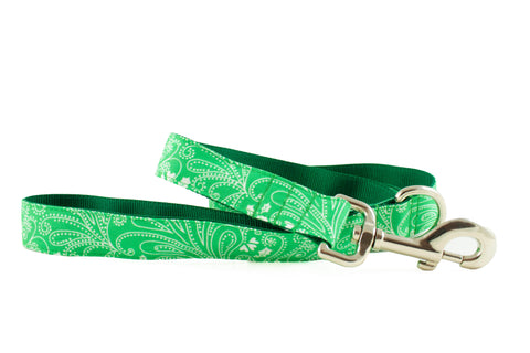 Green Paisley Leash - final sale