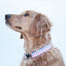 Red White and Blue Gingham Collar