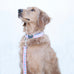 Red White and Blue Gingham Collar