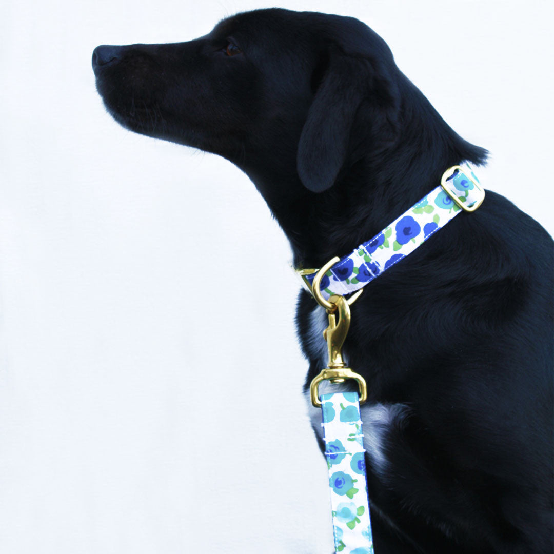 Blueberry Flowers Collar – bonjour fido!