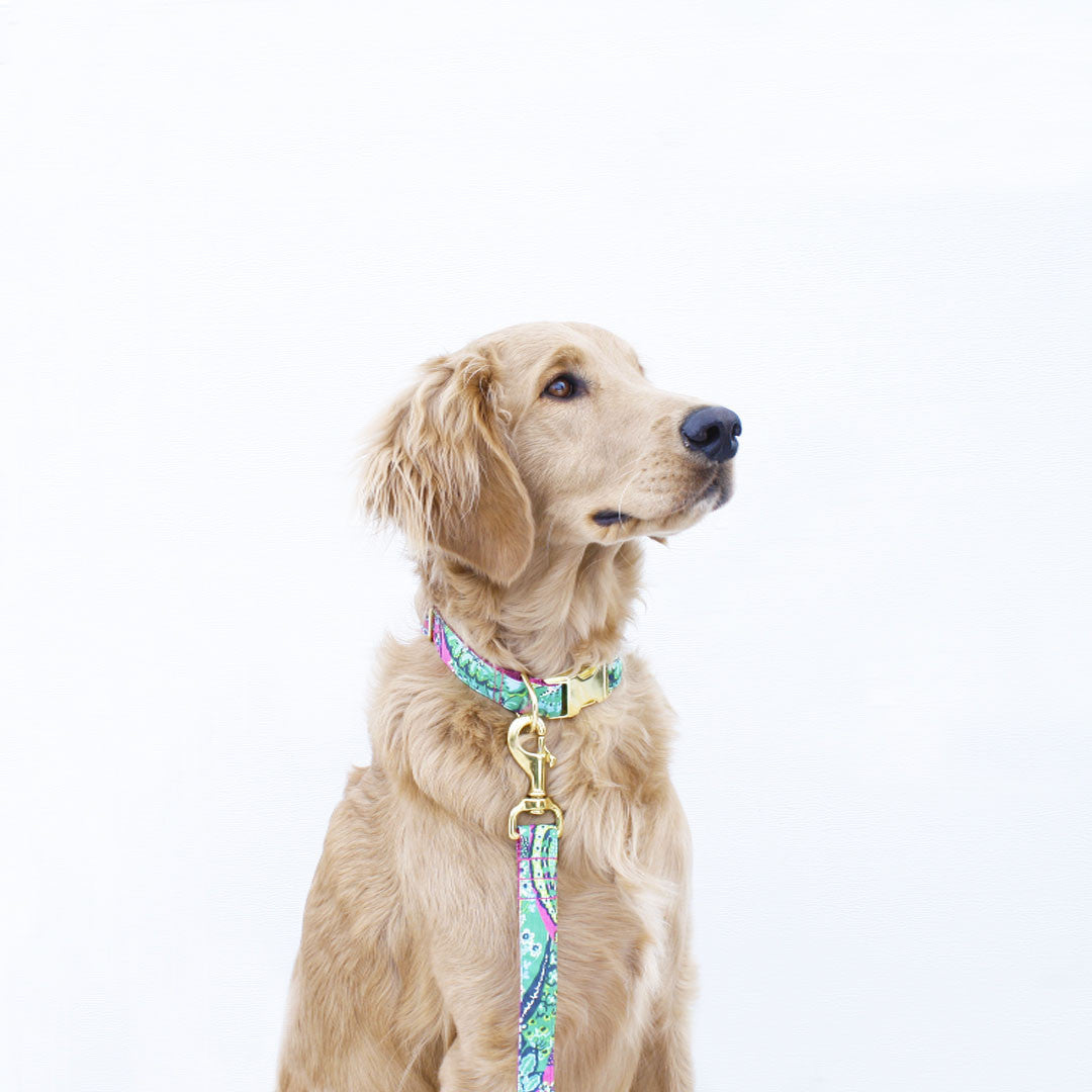 Pink and Green Paisley Collar – bonjour fido!