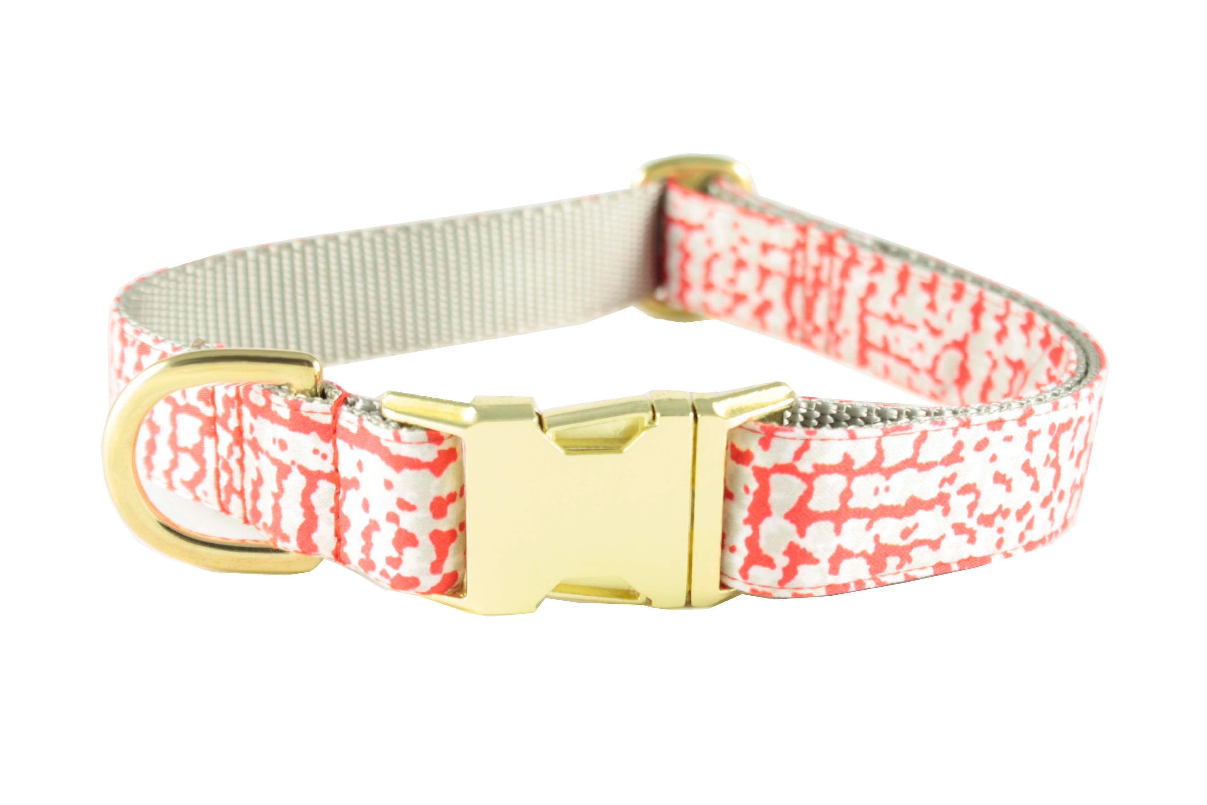 Bonjour Designer Dog Collar And Leash