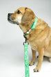 Green Paisley Leash - final sale