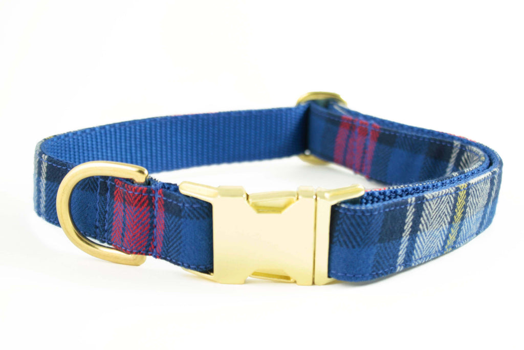 Royal Blue and Red Plaid Collar